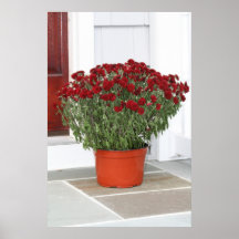 Red Fall Mums Posters