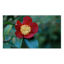 Red Flower Business Card