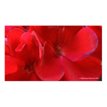 Red Flower business cards