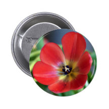 Red Flower Button