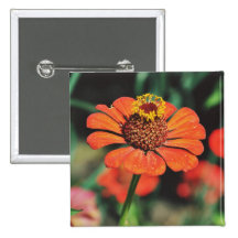 Red flower button
