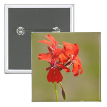 Red flower buttons