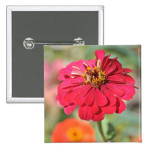 Red flower buttons