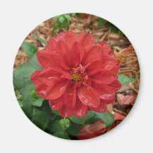 Red Flower Fridge Magnets