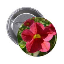 Red Flower In The Grass Pinback Buttons