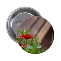 Red Flower In Town Pinback Buttons