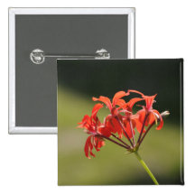 Red flower pin