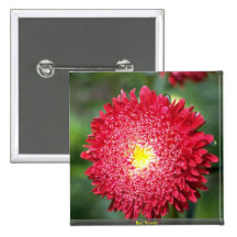 Red flower pinback button