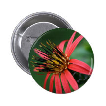 Red flower pinback button