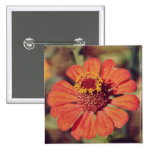 Red flower pinback button