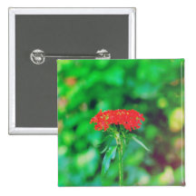 Red flower pinback buttons