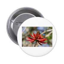 Red Flower Pinback Buttons