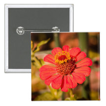 Red flower pins