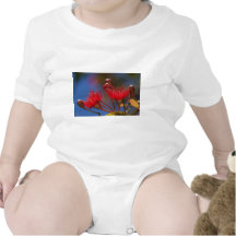 Red-flowering Gum Tshirts