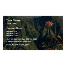 Red flowers blooming wall to wall business card templates
