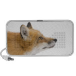 Red fox portable speakers