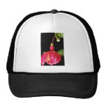 Red Fuchsia Blossom, Partly Open flowers Hat