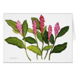 Red Ginger Greeting Card