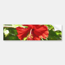 Red Hawaiian Hibiscus Flower Bumper Stickers