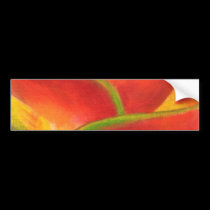 Red Heliconia Flower Art - Multi bumper stickers