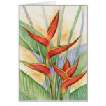 Red Heliconia Tropical Flowers Painting - Multi Greeting Cards