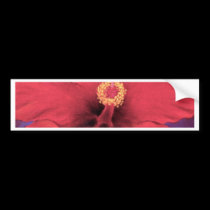 Red Hibiscus Flower Painting - Multi bumper stickers