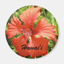 Red Hibiscus Hawai'i Fridge Magnet
