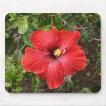 Red Hibiscus Mousepad