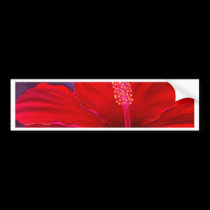 Red Hibiscus Tropical Flower Painting - Multi bumper stickers