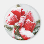 Red Holiday Bow Dusted With Snow | Christmas Xmas magnets