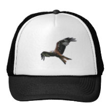 Red Kite Hat