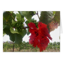 Red Leaf Card