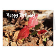 Red Leaves Greeting Card