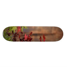 Red Leaves In Zion National Park Skate Board Decks
