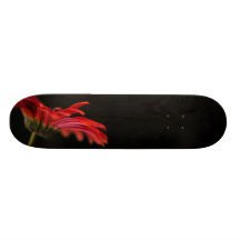 Red Macro Gerbera Flower Skate Board Deck