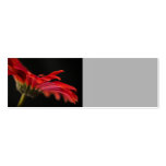 Red Macro Gerbera Flower Wedding Place Name Business Card Templates
