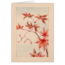 Red maple Card