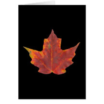 Red Maple Leaf Cards