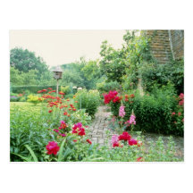 Red Mixed Cottage Garden - Peony, Pyrethrum, Alliu Postcard