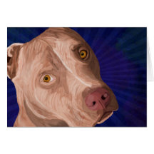 Red Nose Pit Bull with a Blue Background Cards