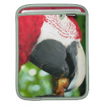 Red Parrot iPad Sleeve
