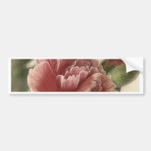 Red-Pink Carnations 1 Rustic Bumper Sticker