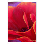 Red Poppy Flower Painting - Multi Cards