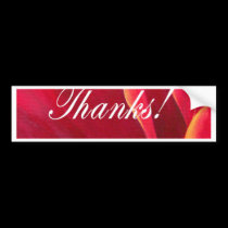 Red Poppy Flower Painting with Thank You bumper stickers