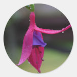 Red Purple Flower On Tree Round Stickers