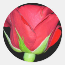 Red Red Rose Round Stickers