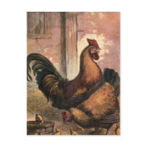 Red Rooster, Brown Hen and Baby Chicks on Straw postcards