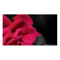 Red Rose business cards
