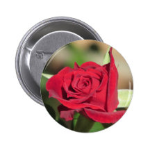 Red Rose Button