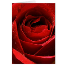 Red Rose Card